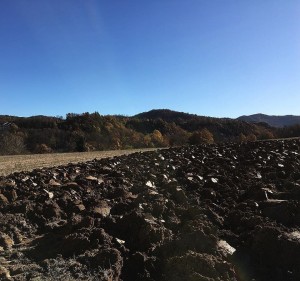 23905553_10212747703279978_8787387211924319052_n