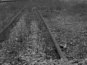 16502_10204687304175038_6173570021869348836_n