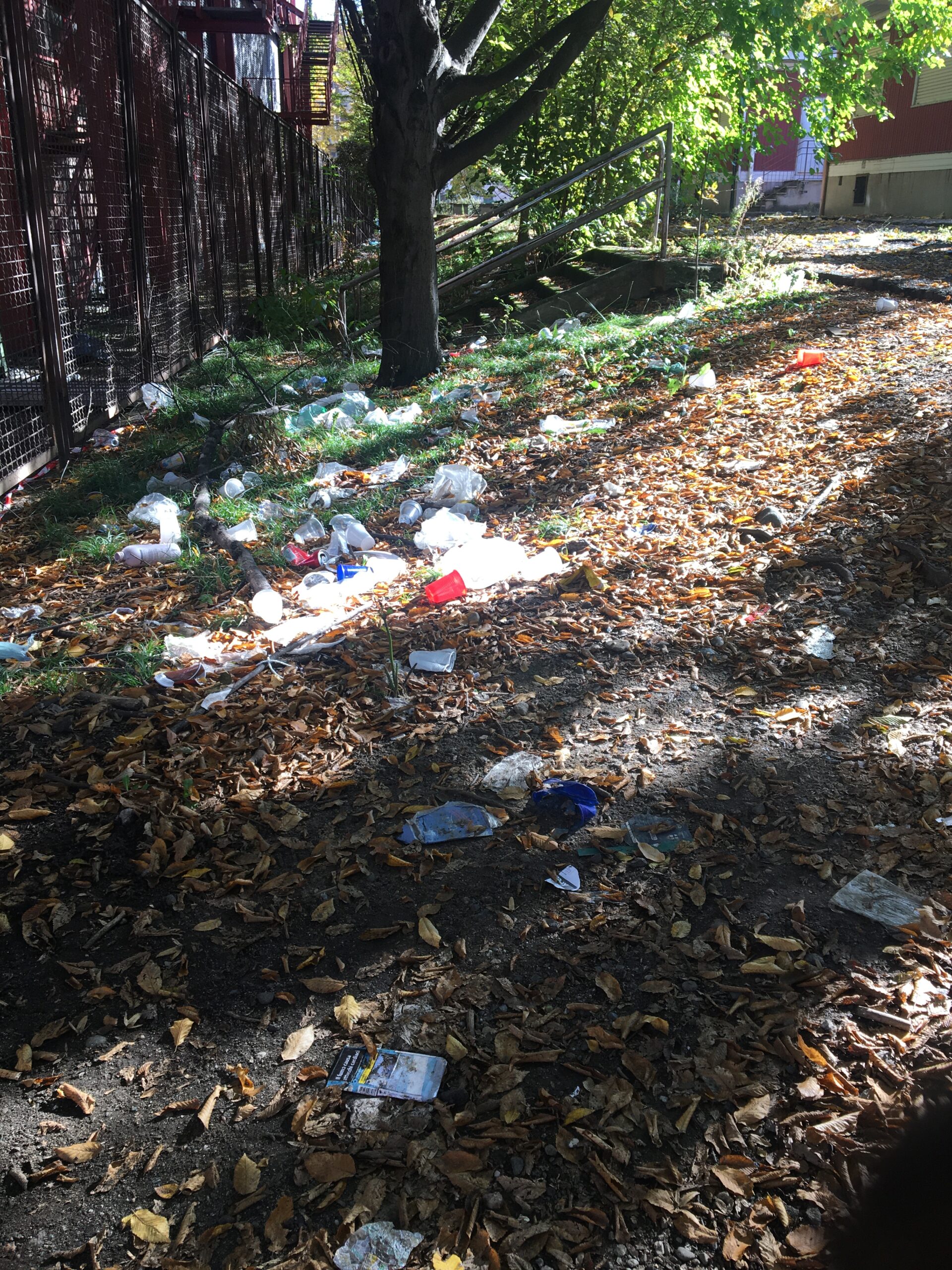 Interpellanza area Parri